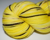 NEW Black-Eyed Susan - 80/20 First-String PLUS SW Merino Fingering Wt Yarn 253