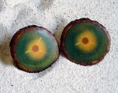 Green & Yellow Vintage Wood Slice Earrings - 1960s 70s Screw Type Clip on - Gift under 15