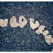 LOVE spelled out in coral letters with hearts,  l-o-v-e, writing with objects - 9x12 inches Original Fine Art Photograph