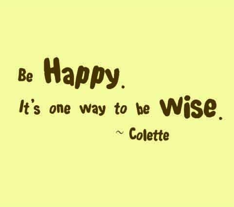 Vinyl wall quote wall letters words wall decal Be happy its one way to be wise