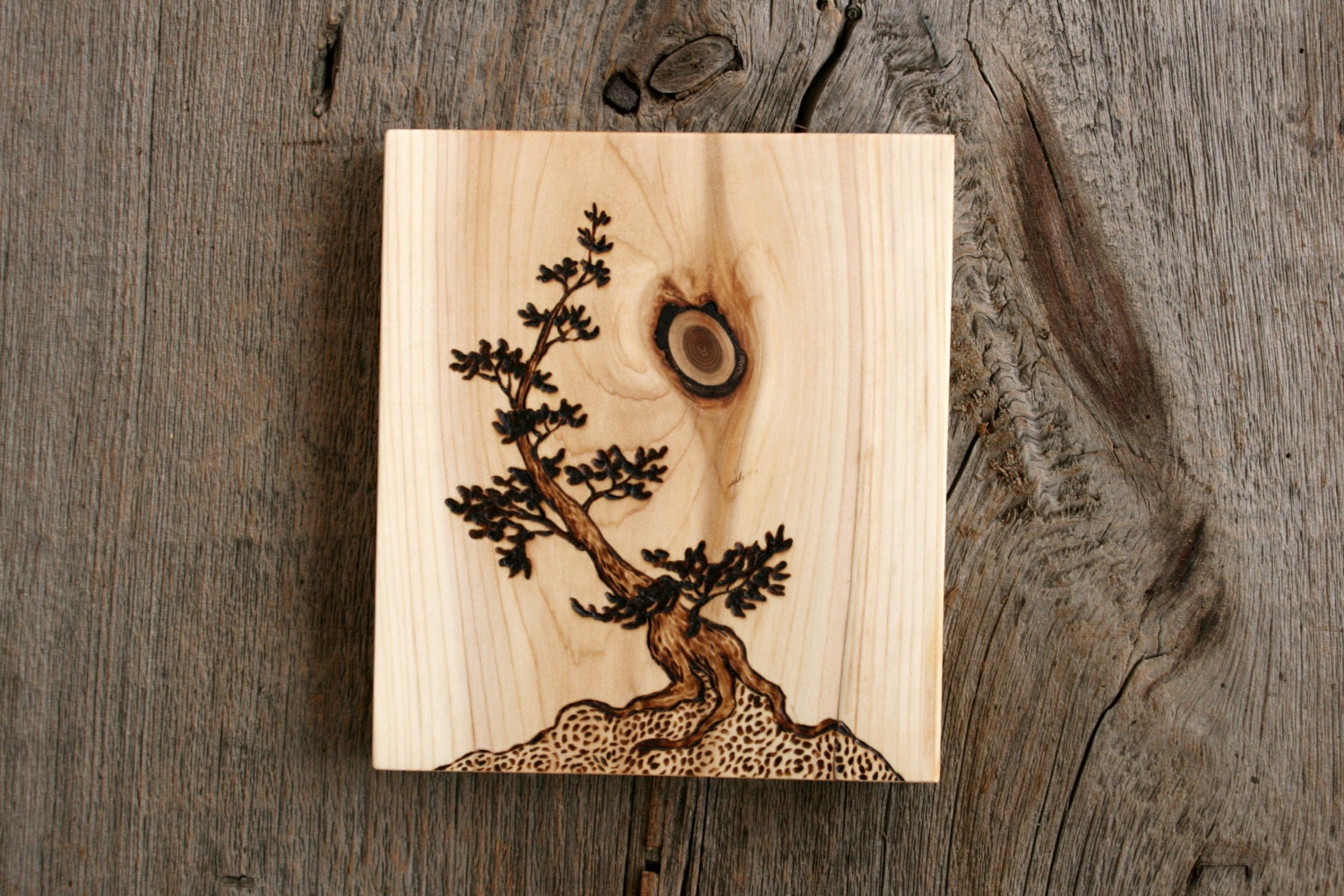 Ancient Tree II - Art Block - Woodburning
