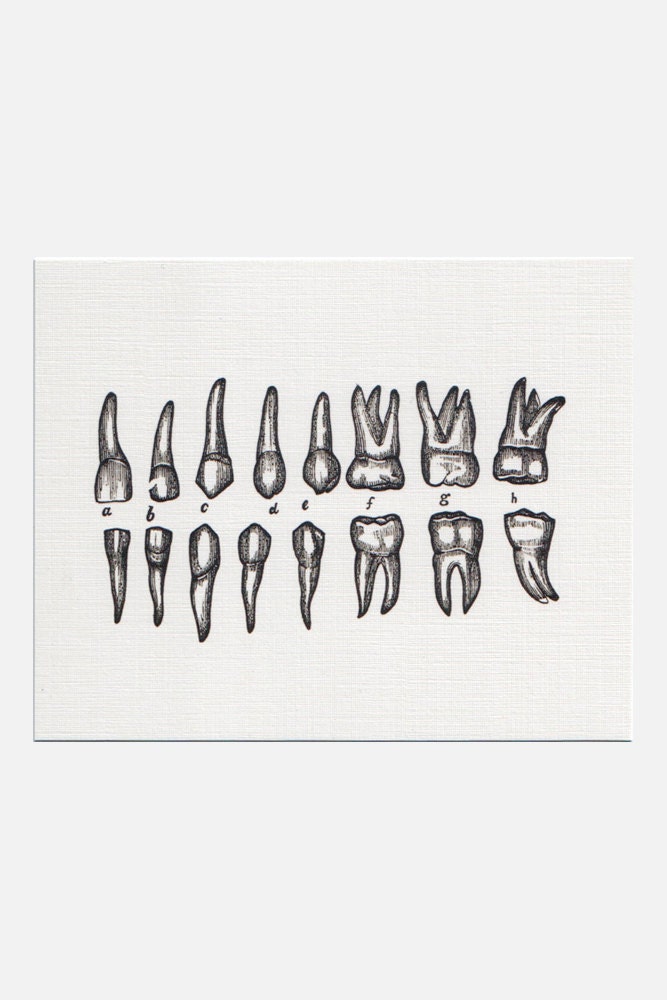 Alphabet Teeth Note Card Set