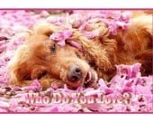 5x7" greeting card, Golden Retriever, pink flowers, all occasion