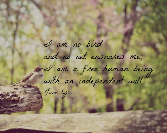 Jane Eyre Quote I Am No Bird Art Print Charlotte Bronte Nature Bird Photography Quote Book Wall Art Home Decor Gift