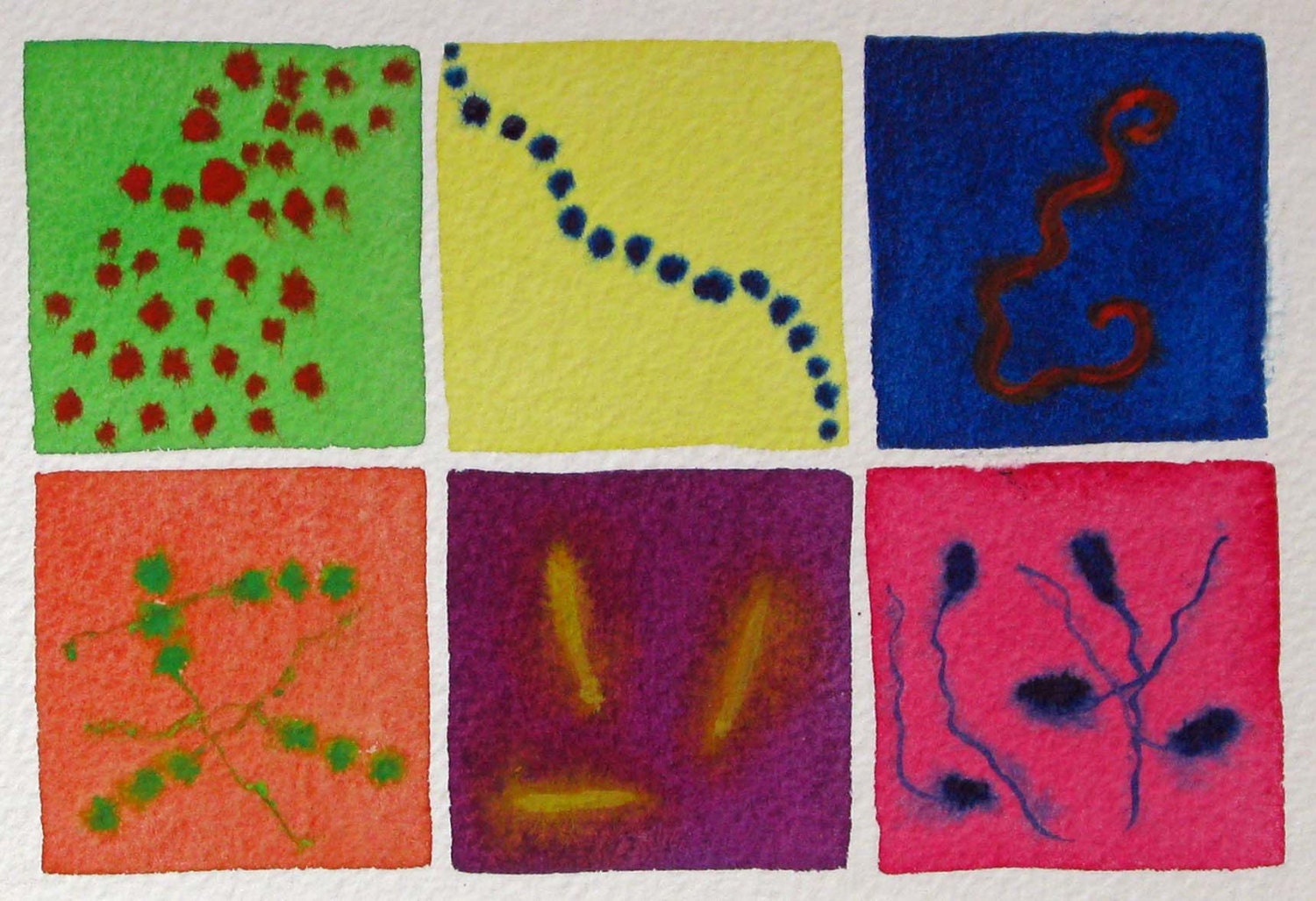 Bacteria Rainbow 11 - original watercolor painting