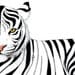Made to Order - Tigerwith Zippers giclee print
