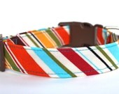 Winston Stripe Dog Collar