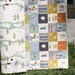 Organic Baby Quilt Camping Outdoors Hiking Canoeing Boy Blanket