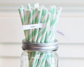 Paper Straws, Mint Green Paper Straws, 25 Straws, Vintage Wedding Straws, Baby Shower Straws, Birthday Party, Kids Straws w/ Flags Il_170x135