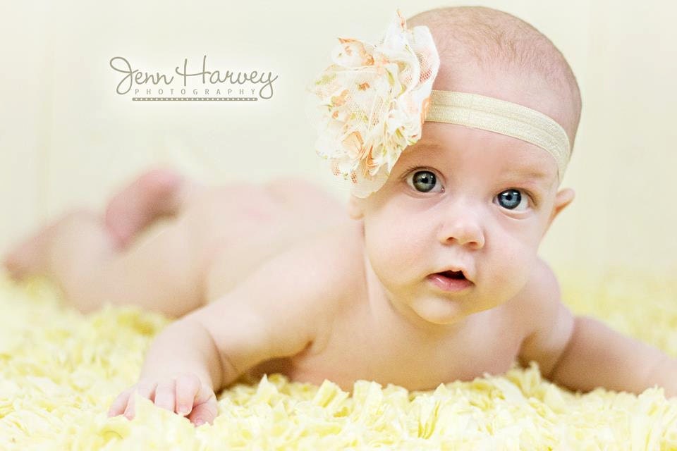 GRAB BAG 10 chiffon flower spring headbands or clips 35.50 newborn, child, adult, girl, photographer, baby