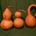 2 dried bottle gourds 1 dipper gourd.