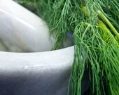 Organic Heirloom Bouquet Dill Seeds