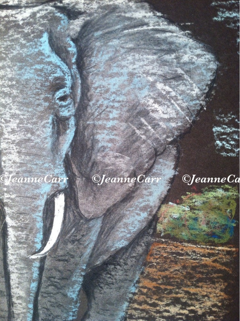 Plains Elephant Original Drawing