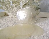 Beach Decor, Sea Shell Decor, Wedding Shells - Capiz Sea Shells (large), Set of 6