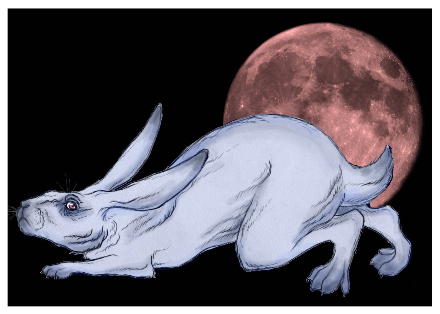 Watership Down rabbit postcard print 5 x 7