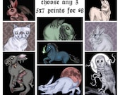 3 5 x 7 prints for 8 dollars