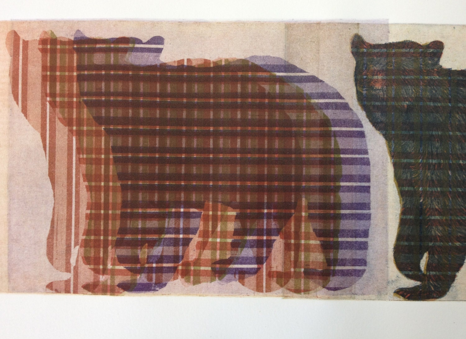 Black Bear Etching - 8 plate plaid - one-of-a-kind