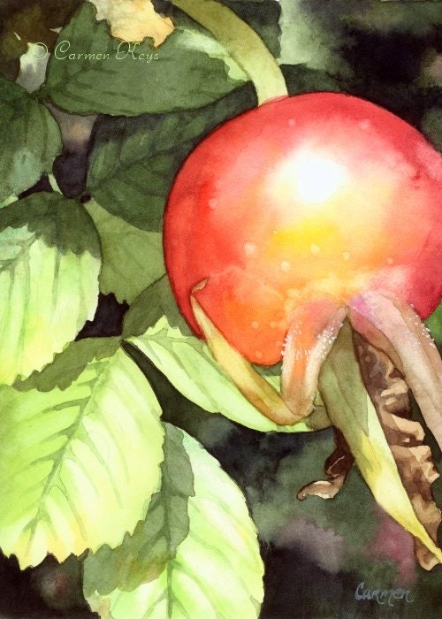 Rose Hip - Original Botanical Watercolor Painting