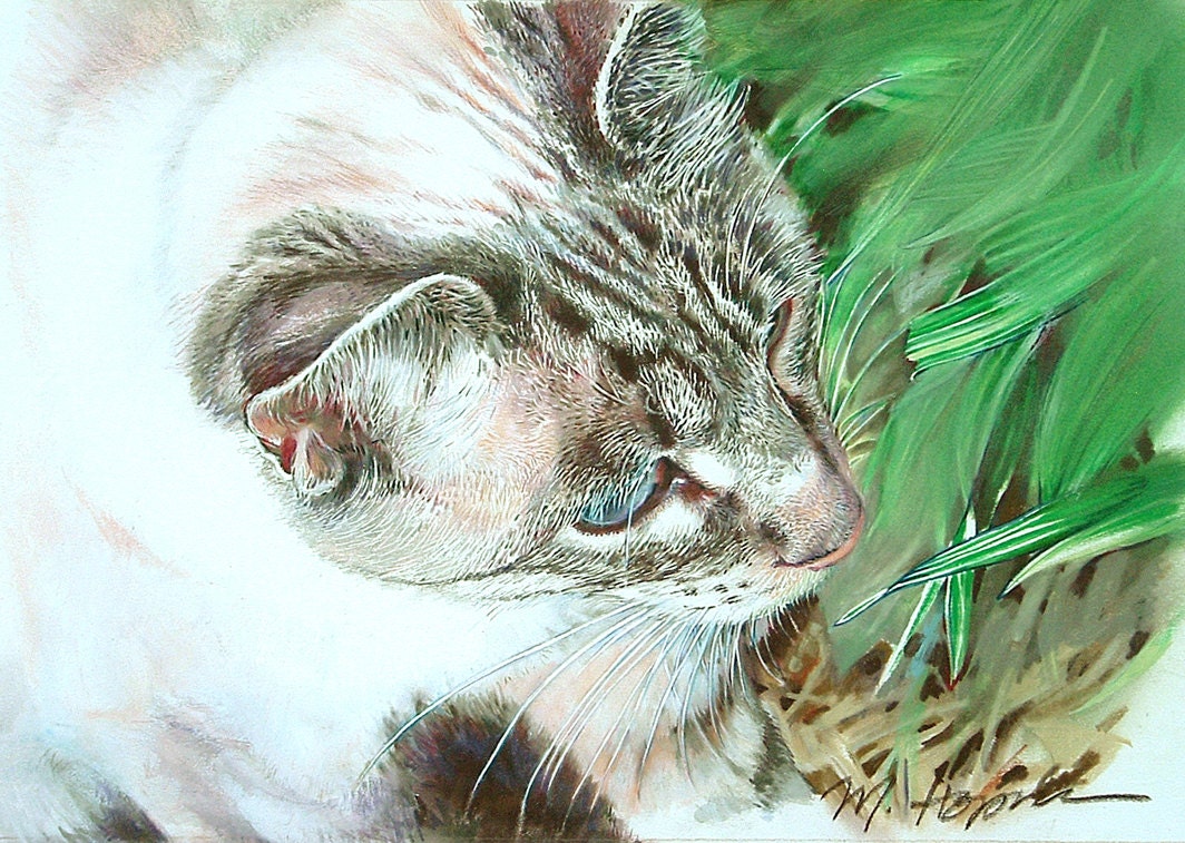 Siamese Cat, Giclee from original painting by Margi Hopkins of Pepper Portraits LLC.