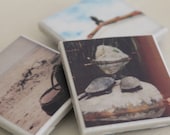 Animal Themed Magnet Set