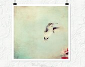 Animal photography, hummingbird, nature photography, fine art print, nursery decor