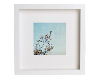 Turquoise Photography - aqua decor, turquoise home decor, seasonal decor, nature - "Last Light" - 8x8, 8x10 Fine Art Photograph