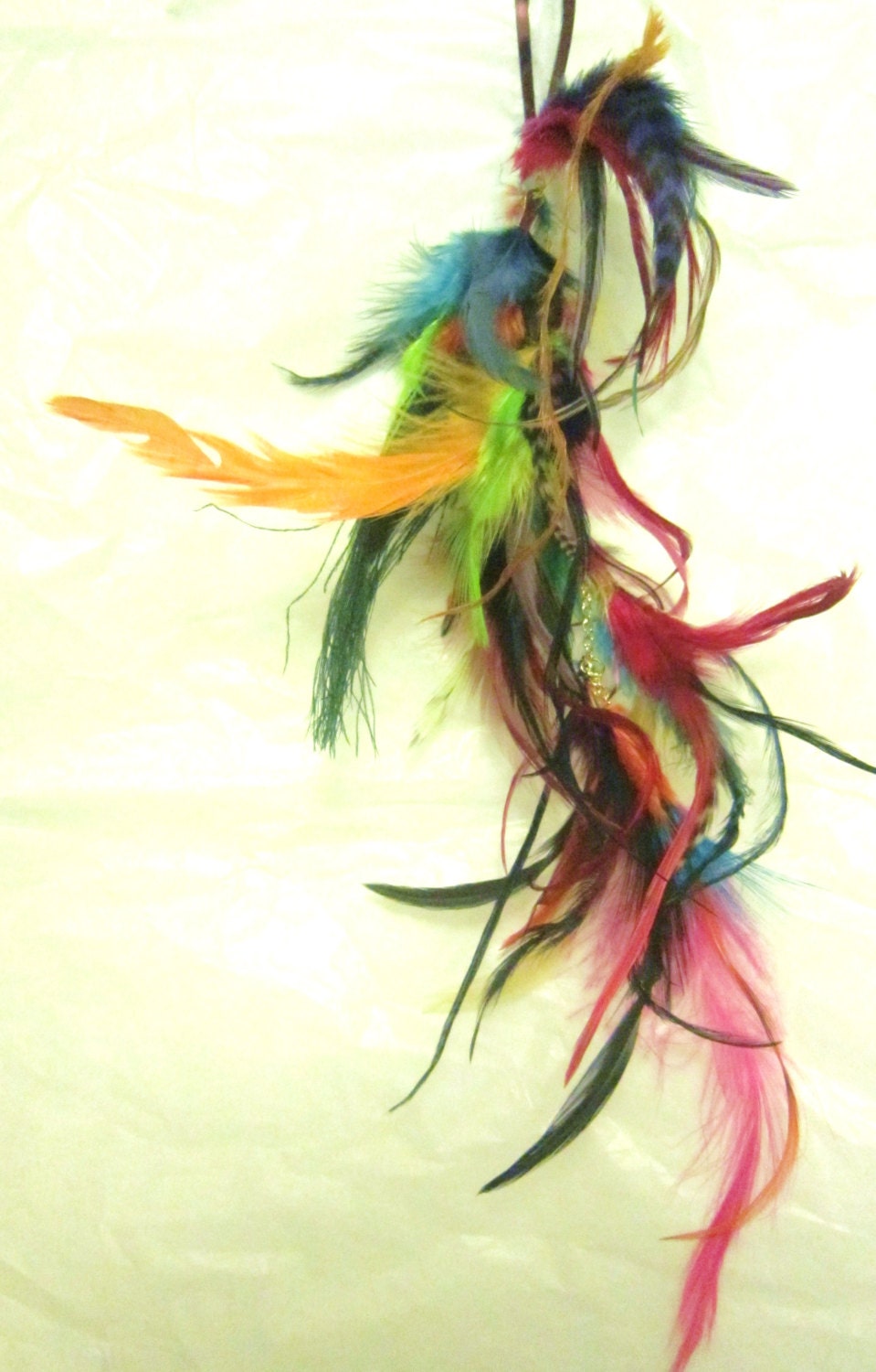 Life Is A Carnival Hand Dyed Colorful Feather Hair Extension Clip In