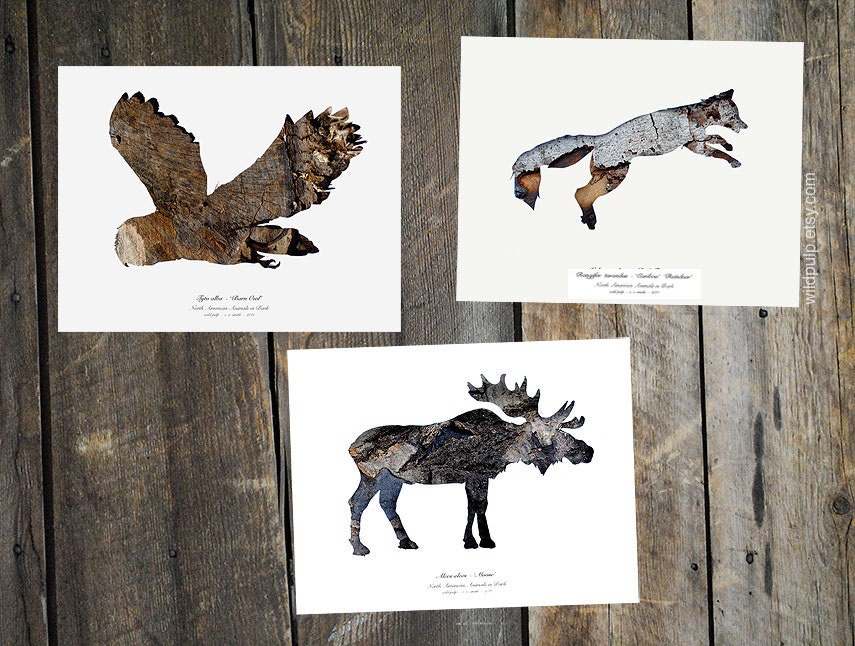 3 Woodland Animal Bark Silhouettes : Photography, Eco Nature Decor, Archival Prints - Rustic Cabin, Lodge, Home Art