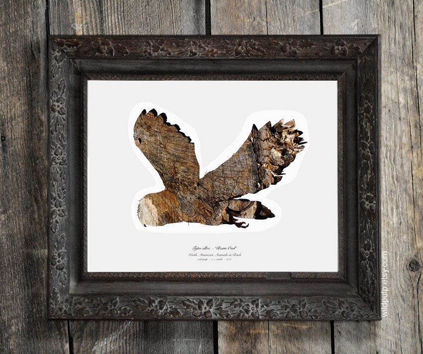 Barn Owl Silhouette In Bark : Nature Theme Eco Decor, Woodland Animal Photography - Rustic Lodge, Home Bird Art, Wild Pulp
