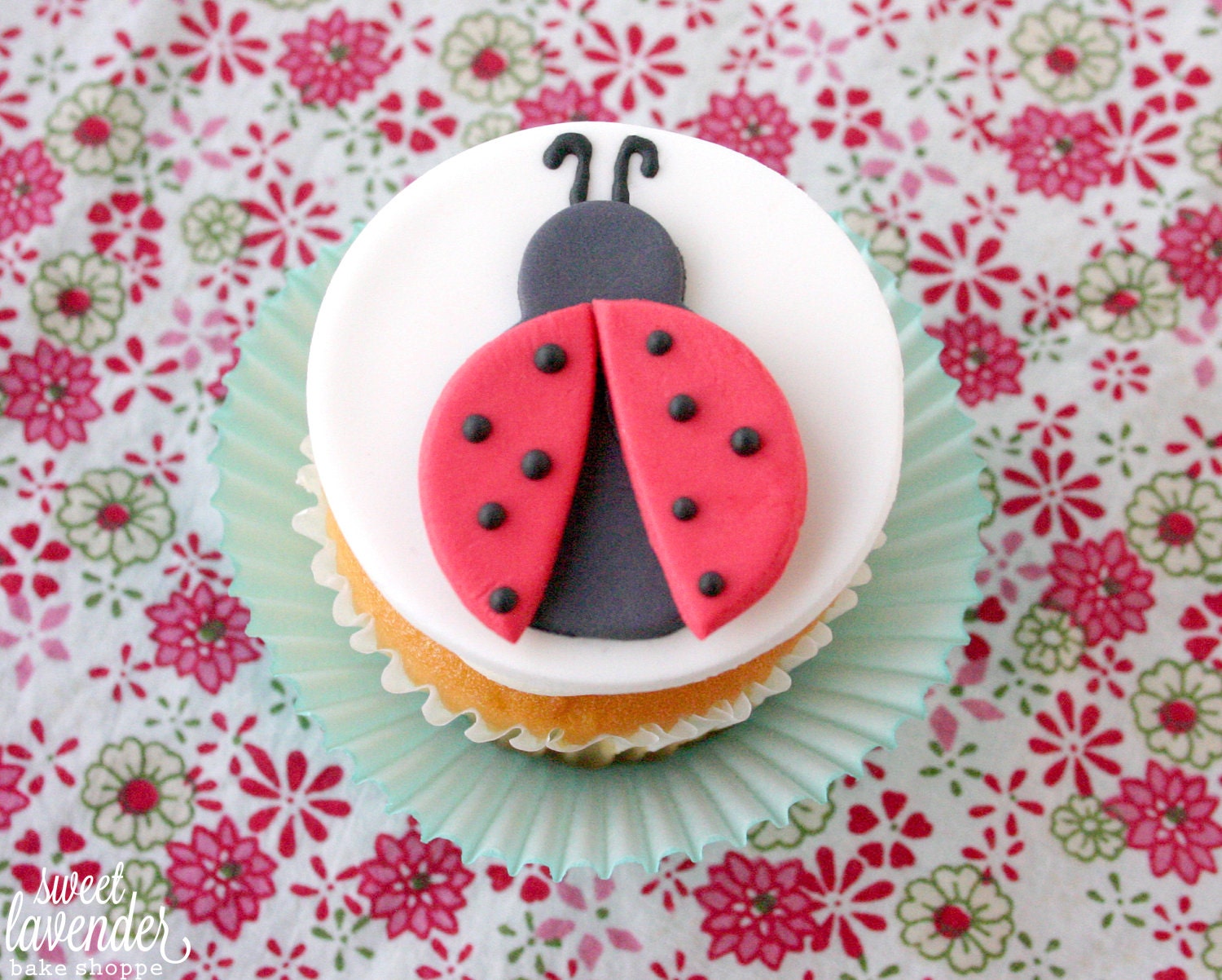Edible Ladybugs