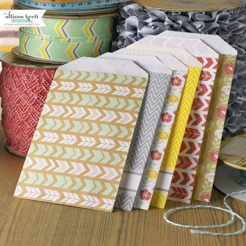 Mini Bags Set Composition and Color Webster's Pages