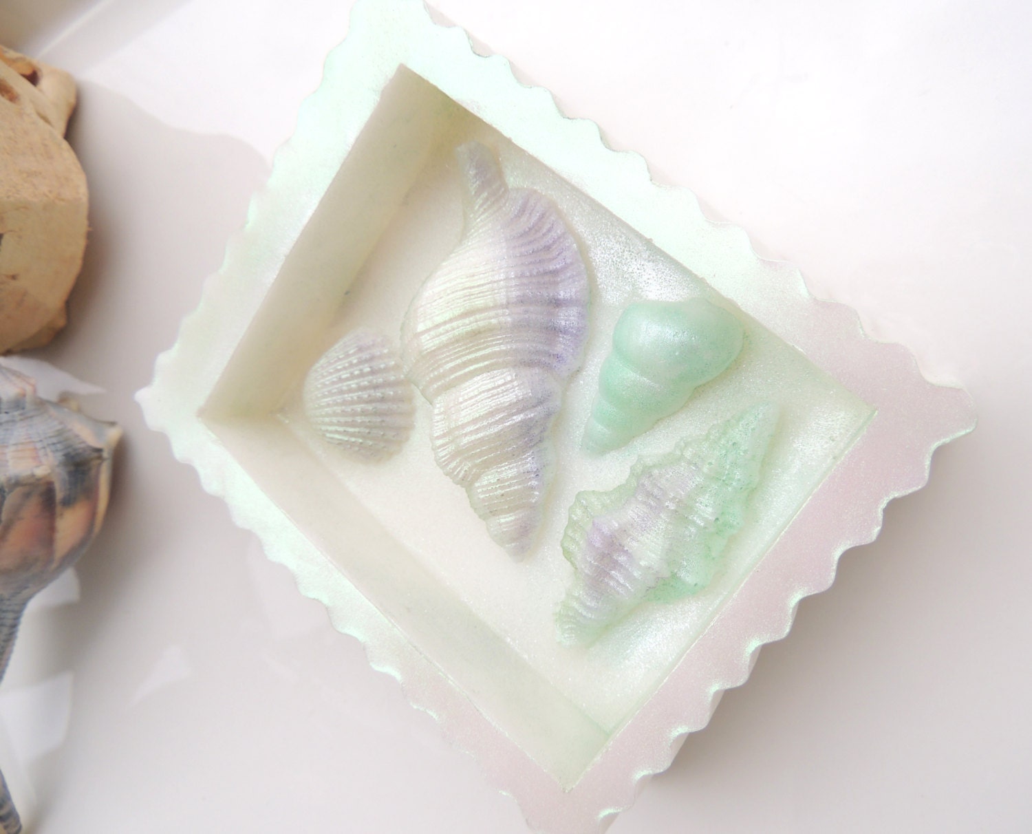 SHELL SOAP, Shawdow Box Collection, Exclusive From The Charming Frog, Scented in Sea Mist, Vegetable Based, Handmade