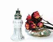 Vintage Sugar Caster Antique Victorian Sugar Shaker