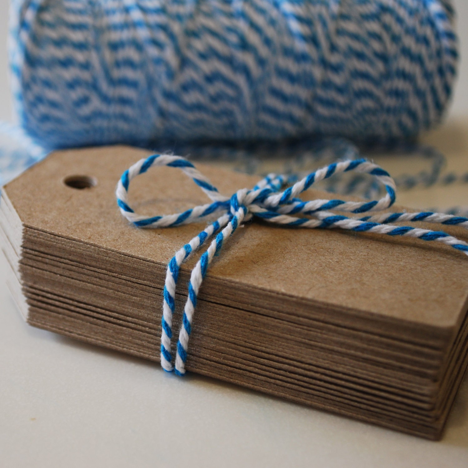 Tags 100 Basic Medium Natural / Kraft - Blank Gift Tags Il_170x135