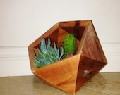 Icosahedron succulent planter