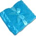 Personalized Minky Baby Blanket Zebra Pink Brown Turquoise