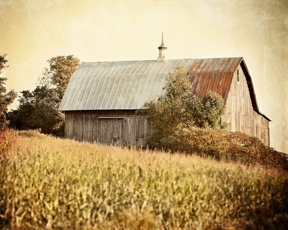 Large Wall Art, Barn Landscape, Country Decor, Farm Picture, Yellow, Gold, Large Barn Photograph, 16x20, 20x24, 24x30, Large Print.