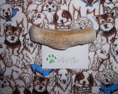 Medium Deer Antler Dog Chew (Lot 680)