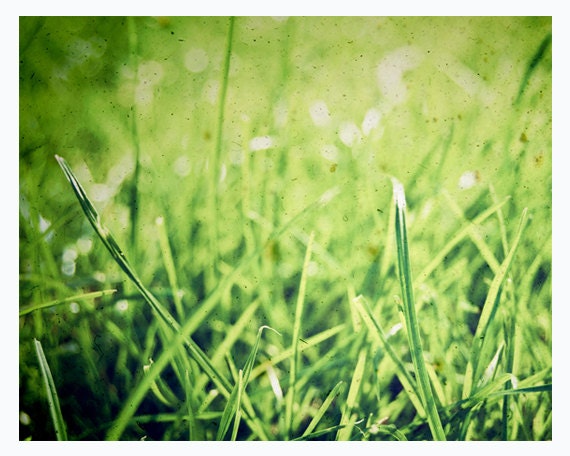 Green grass photograpy - summer wall decor, meadow, nature - 8x10 print - The grass isn't always greener on the other side
