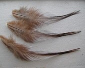 Cruelty Free 4-5" Red Rooster Saddle Feathers Lot of 12 Feather