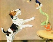 Wire-haired Terrier Dog Illustration by Diana Thorne - 1930s Dog Art