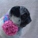 Chrysanthemum Neck Warmer for Dogs - Ready to Ship