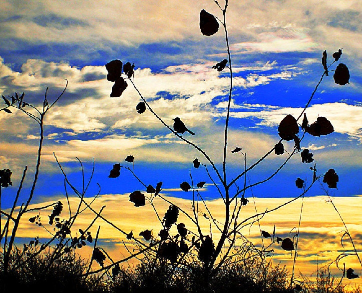 freebird and big open sky splashed onto a blank note card in vivid color