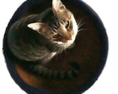 Felted Cat Bed Hand Knit Peruvian Highland Wool Pet Bed - Donatien