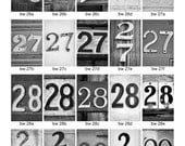 NUMBERS DATES 26-31  BW 4x6 photo number, print only