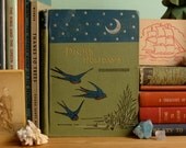dick's holidays and what he did with them by james weston 1891 rare antique book
