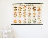 SALE Vintage Pull Down School Chart, Mushrooms