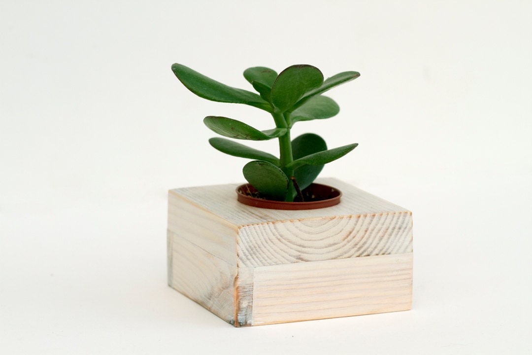 Succulent planter, white wedding decoration wooden plant pot eco friendly reclaimed geometric shape