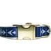 Royal blue adjustable 1" wide dog collar: Size Large Arrowhead Print