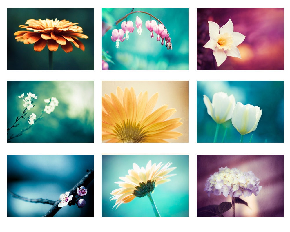 Photo Set of 9 5x7 Photographs - flower photography spring daisy tulips - color print set - aqua blue teal turquoise - purple yellow pink